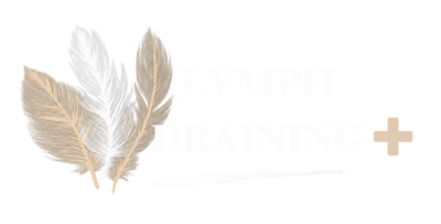 lymph draining feather logo, transparent background